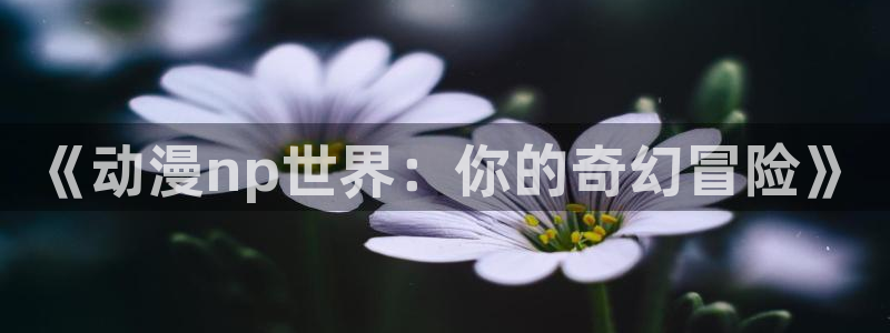 风车动漫官网在线下载：《动漫np世界：你的奇幻冒险》