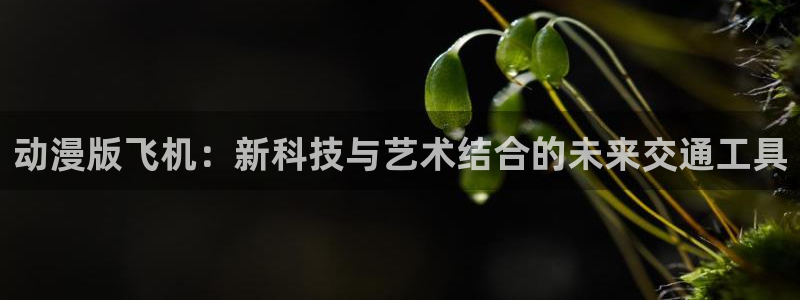 风车动漫里番：动漫版飞机：新科技与艺术结合的未来交通工具