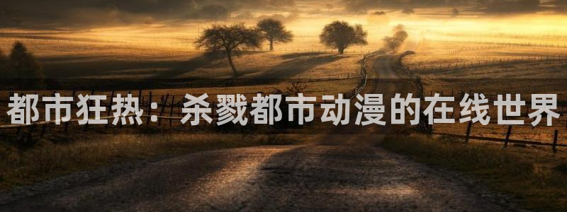 风车动漫免广告版：都市狂热：杀戮都市动漫的在线世界