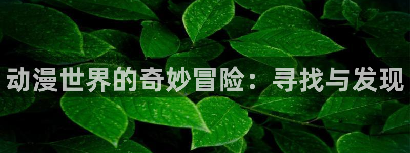风车动漫网专注动漫门户网站：动漫世界的奇妙冒险：寻找与发现