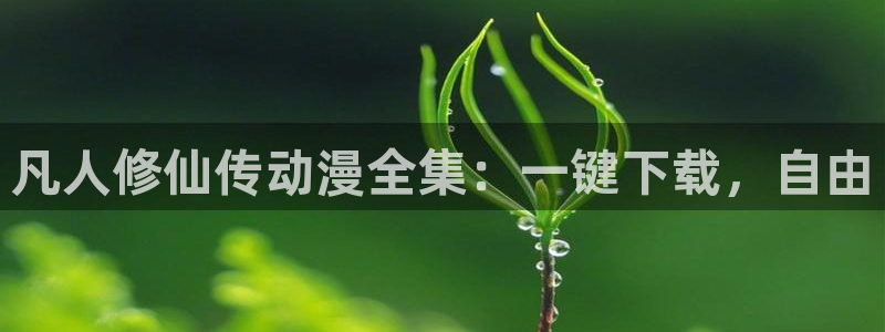 樱花风车动漫网：凡人修仙传动漫全集：一键下载，自由