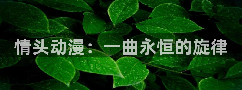 风车动漫官网动漫：情头动漫：一曲永恒的旋律